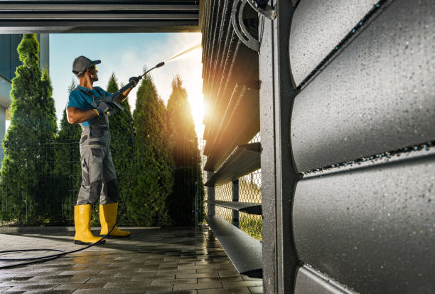 Best Solar Panel Cleaning  in Chandler, IN